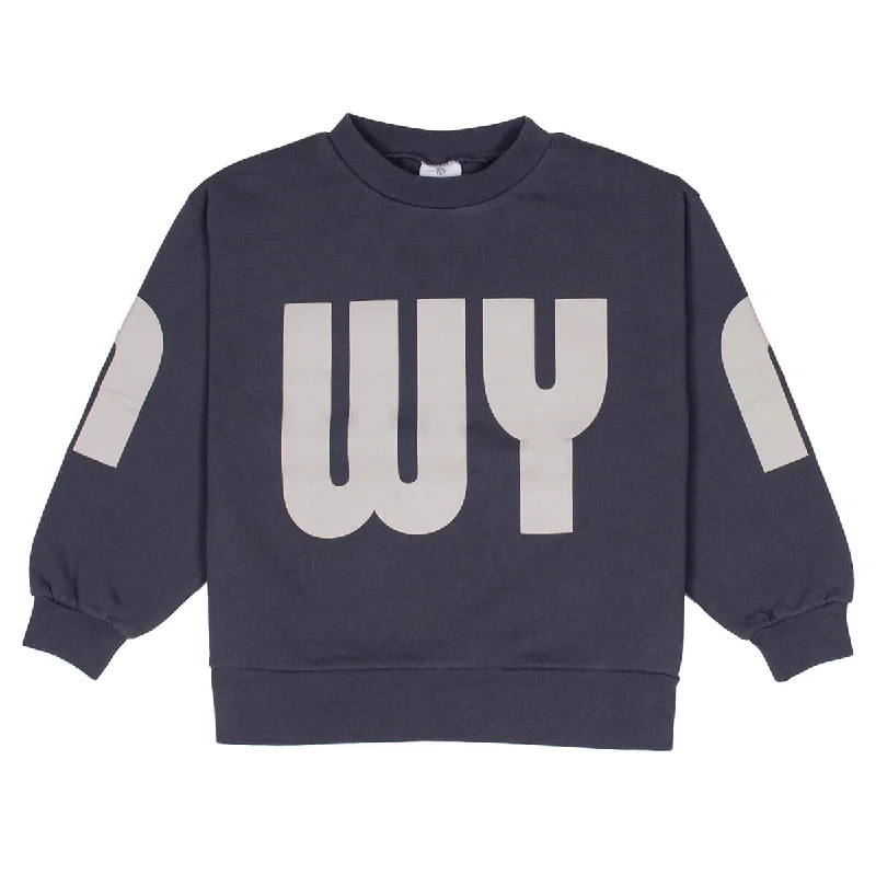 Plus Size Women's Sequined Sweaters for Special OccasionsScale Sweat in Slate by Wynken Plus Size Women's Sequined Sweaters for Special OccasionsScale Sweat in Slate by Wynken