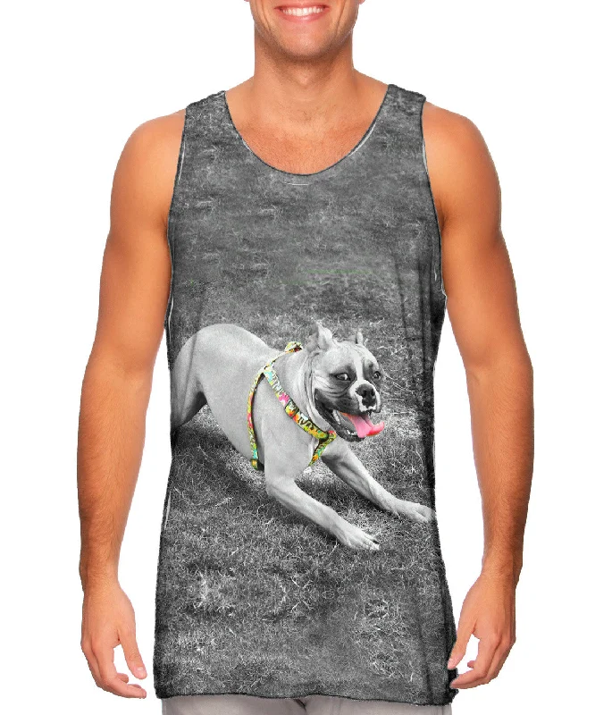 One - Shoulder Women's Rayon Blend Tank Tops for a Flowy LookBoxer With Colorful Harness