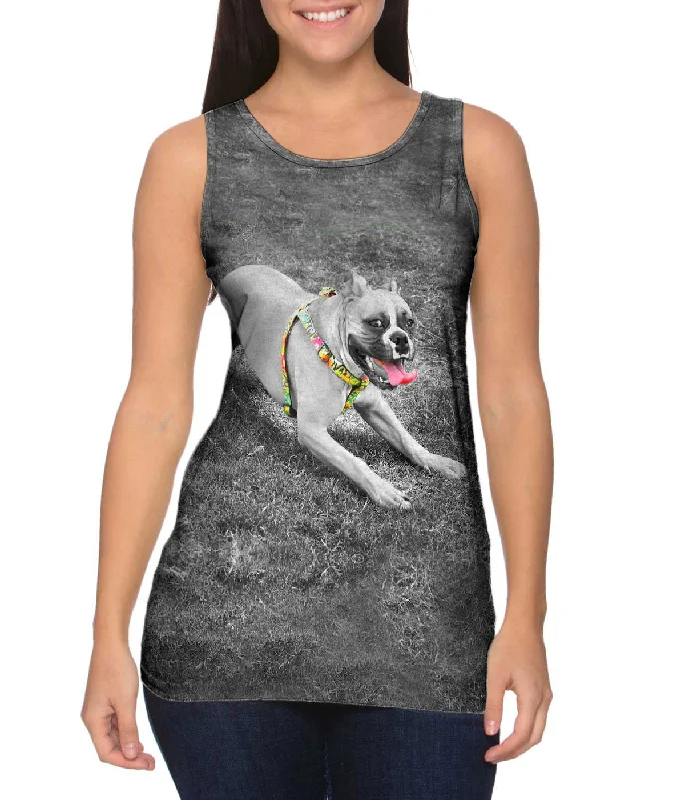 Women's Button - Down Tank Tops in Striped PatternsBoxer With Colorful Harness